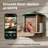 Birdfy Cedar D Smart Bird Feeder - Fun & Educational 1080P Birdwatching, AI Recognition, 60FPS Slow-Motion, Solar-Powered - 4 of 4