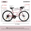 DOMETOUR A28320RS 700C Road Bike, 16-Speed, Disc Brakes, Lightweight Aluminum Frame, Racing/Commuting Bicycle, M Size for Men/Women - 3 of 4