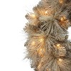 Puleo 24" Battery-Operated Pre-Lit Tan Wreath with 35 Warm White Lights - 4 of 4