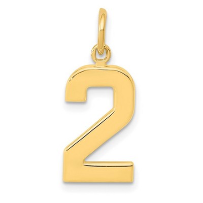 Black Bow Jewelry 14k Yellow Gold, Athletic Collection Medium Polished Number 2 Pendant