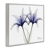 Stupell Industries X-Ray Lily Flowers Black Framed Giclee Art - 3 of 4