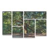 Trademark Fine Art - Pierre Leclerc 'Angel Oak Charleston' - 2 of 3