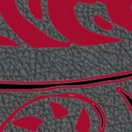 atlanta falcons
