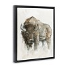 Stupell Industries Western American Buffalo Floating Frame Canvas Art - 2 of 4