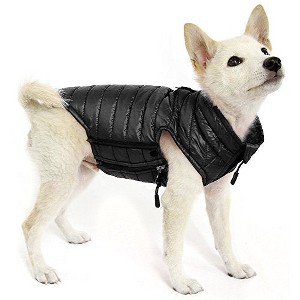 Gooby Water Resistant Puffer Vest with Side Zipper Closure for Small Dogs, Black, Large - 1 of 1