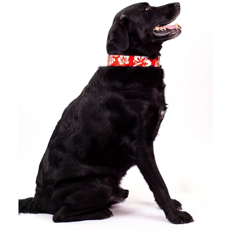 Country Brook Petz 1 1/2 Inch Premium Red Hawaiian Dog Collar, 2 of 7