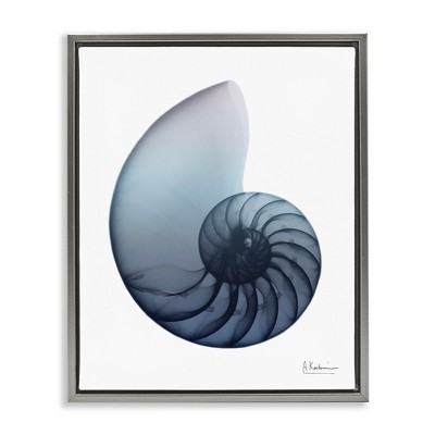 Stupell Industries Contemporary Nautilus Shell, 17" x 21"
