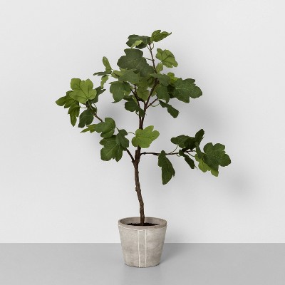39&#34; Faux Common Fig Potted Plant - Hearth &#38; Hand&#8482; with Magnolia