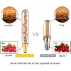 Runesay E14 LED Light Bulb Warm White T20 2W LED Filexible Filament Bulbs 2200K Vintage Light Bulb Equivalent 20W Incandescent Lamps - 4 of 4