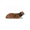 Bite Not Cat Collar 3"W X 15"L - 4 of 4