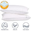 Aghana Digitals Standard Size Cooling Pillows Set of 2, Soft Microfiber Cover - 2 of 4
