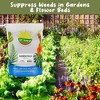 Soil Sunrise Premium Hardwood Mulch for Houseplants; Shredded Wood Mulch for Indoor / Outdoor Container Gardening - 3 of 4