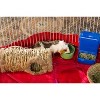 Prevue Pet Products 1098 Nature's Hideaway Grass Tunnel Toy, 13.5" x 6 " - 3 of 3