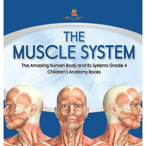 The Muscle System The Amazing Human Body And Its Systems Grade 4 Children S Anatomy Books Hardcover Target