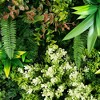 Nearly Natural 20-in UV Resistant Artificial Queensland Rainforest Living Wall Art Panel in Gold Aluminum Frame (Indoor/Outdoor) - 3 of 4