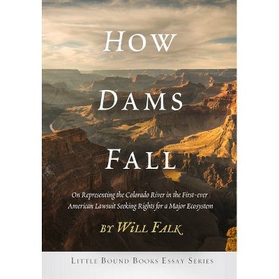 How Dams Fall - by  Will Falk (Paperback)