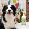 Natural Dog Company Liquid Glucosamine Supplement - 16oz - 4 of 4