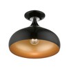Livex Lighting Amador 1 - Light Semi-Flush Mount in  Shiny Black - 2 of 4