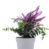 Unique Bargains Artificial Plants Lavender Sprig Plastic 3.94"x3.94"x10.24" 1 Pcs - 4 of 4