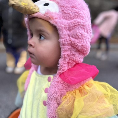 Guest review image 1 of 1, zoom in