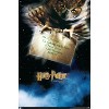 Trends International Harry Potter and the Sorcerer's Stone - Owl One Sheet Unframed Wall Poster Prints - 4 of 4