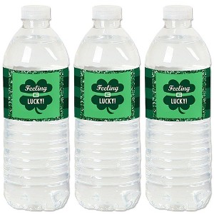 Big Dot of Happiness St. Patrick's Day - Saint Paddy's Day Party Water Bottle Sticker Labels - Set of 20 - 1 of 4