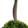 NicBex Artificial Plants Indoor, Faux Cherry Blossom Tree with Pot, Outdoor Fake Plants Living Room Decorative Objects - 4 of 4