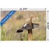 Trends International The Comedy Wildlife Photography Awards: Wendy Kaveney - That Wasn't Here Yesterday Unframed Wall Poster Prints - 3 of 4