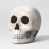 Lit Plastic Skull Figurine - Hyde and EEK! Boutique™ Gray - 3 of 3
