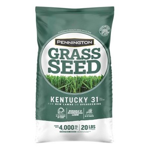 Pennington Kentucky 31 Tall Fescue Grass Sun or Shade Grass Seed 20 lb - 1 of 1
