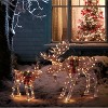 VINGLI Lighted Reindeer Christmas Decoration 2-Piece Deer Family Set for Outdoor Decor, Pre-lit 200 LED Christmas Deers-Brown - 2 of 4
