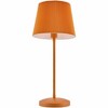 Hauteloom Pachiquita Table Lamp - 2 of 4