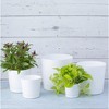 Novelty Manufacturing Majestic Full Depth Round Cylinder Pot - 4 of 4