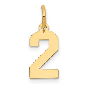 Black Bow Jewelry 14k Yellow Gold, Athletic Collection, Small Polished Number 2 Pendant - 1 of 4