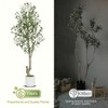 5-7FT Artificial Olive Trees  - Realistic Faux Plants with 72 Fruits & 864 Leaves in White Ceramic Pots for Modern Home Decor - 4 of 4