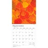 BrownTrout Psalms 2026 12"x24" Hanging Square Wall Calendar Plastic-Free - 4 of 4