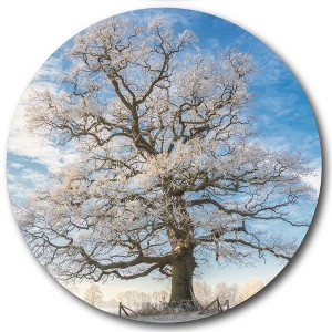 Courtside Market Global Wonders Photography Collection, Beautiful White Statement Piece Wood Décor - 1 of 4