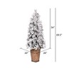 Vickerman Kimball Potted Pine Artificial Christmas Tree Unlit - 3 of 4