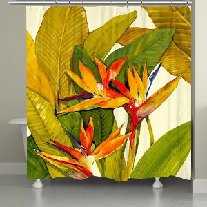 Laural Home Tropical Bird of Paradise Shower Curtain - 1 of 1