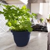 Bloem Ariana Round Resin Planter Pot Indoor and Outdoor Gardening - 2 of 4