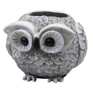 Home & Garden 3.25" Mini Owl Pudgy Planter Garden Porch Roman, Inc  -  Planters - 1 of 3
