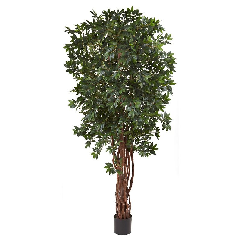 7.5&#34; Lychee Tropical Evergreen Silk Tree - Nearly Natural, 1 of 5