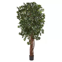 7.5" Lychee Tropical Evergreen Silk Tree - Nearly Natural