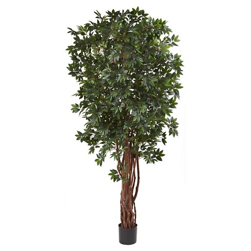 7.5" Lychee Tropical Evergreen Silk Tree - Nearly Natural - image 1 of 3