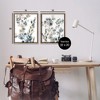 Stupell Industries Collage of Translucent Plants 2pc Floating Frame Art Set - 3 of 4