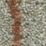 sage, beige, mustard, darkbrown, burntorange