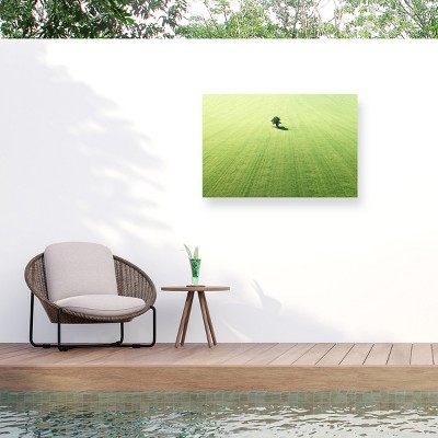 Trademark Fine Art - Marcus Cederberg  Lonely tree Matted Framed Art