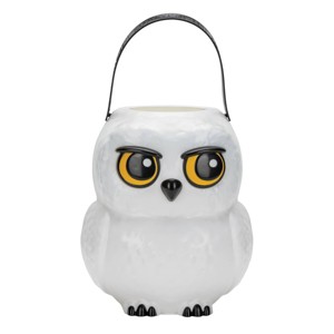 Warner Bros. Harry Potter Hedwig Wizarding World 7" Halloween Trick or Treat Pail - 1 of 4