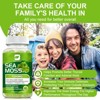 B Beworth Organic Sea Moss Gummies Support Immunity Thyroid & Joints, 60 Gummies - 3 of 4