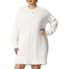 Agnes Orinda Women's Plus Size Knit Sweater Warm Long Sleeve Pullover Mini Dresses - 2 of 4